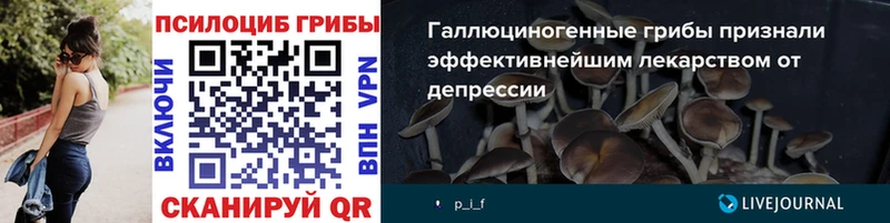 blacksprut ТОР  купить наркоту  Ермолино  Галлюциногенные грибы мицелий 